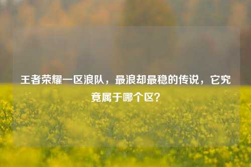 王者荣耀一区浪队,最浪却最稳的传说,它究竟属于哪个区?