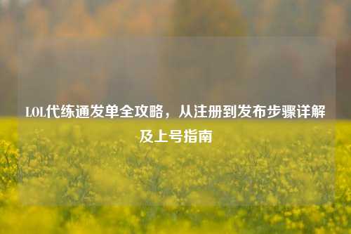 LOL代练通发单全攻略，从注册到发布步骤详解及上号指南