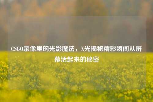 CSGO录像里的光影魔法,X光揭秘精彩瞬间从屏幕活起来的秘密