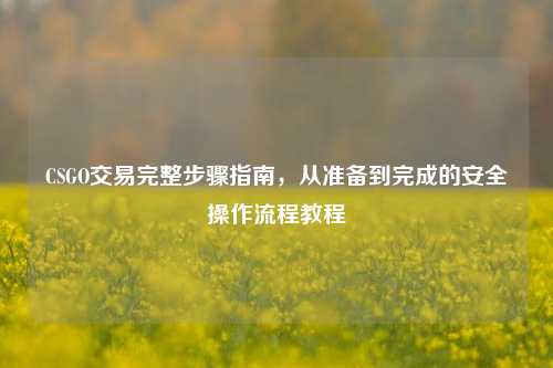 CSGO交易完整步骤指南,从准备到完成的安全操作流程教程