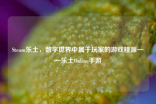 Steam乐土,数字世界中属于玩家的游戏桃源——乐土Online手游