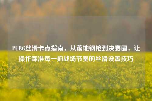 PUBG丝滑卡点指南,从落地钢枪到决赛圈,让操作踩准每一拍战场节奏的丝滑设置技巧