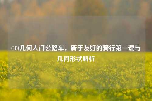 CF4几何入门公路车,新手友好的骑行之一课与几何形状解析