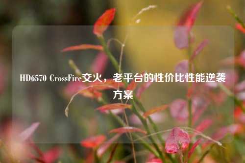 HD6570 CrossFire交火,老平台的性价比性能逆袭方案