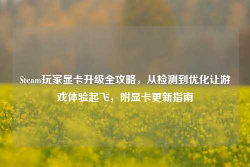 Steam玩家显卡升级全攻略,从检测到优化让游戏体验起飞,附显卡更新指南