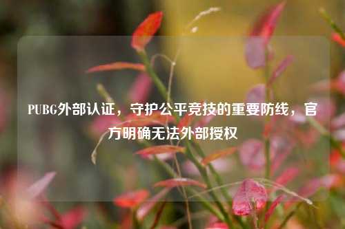 PUBG外部认证，守护公平竞技的重要防线，官方明确无法外部授权