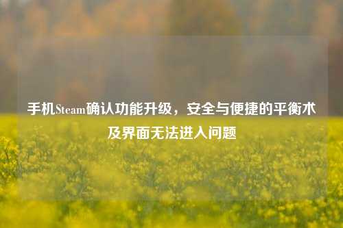 手机Steam确认功能升级,安全与便捷的平衡术及界面无法进入问题