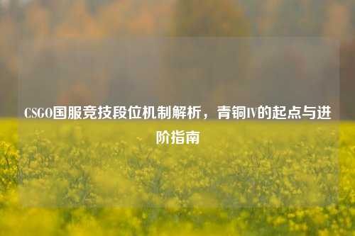 CSGO国服竞技段位机制解析,青铜IV的起点与进阶指南