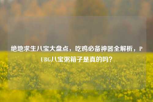 绝地求生八宝大盘点,吃鸡必备神器全解析,PUBG八宝粥箱子是真的吗?