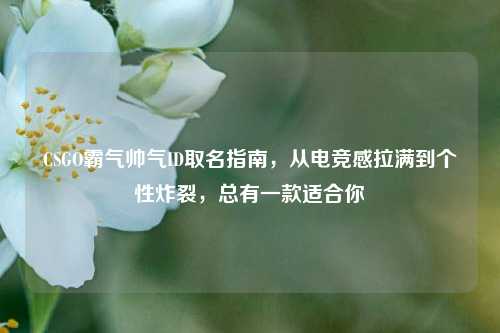 CSGO霸气帅气ID取名指南,从电竞感拉满到个性炸裂,总有一款适合你