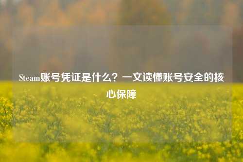 Steam账号凭证是什么？一文读懂账号安全的核心保障