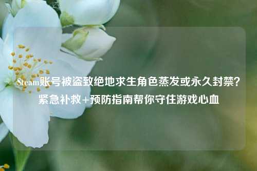 Steam账号被盗致绝地求生角色蒸发或永久封禁?紧急补救+预防指南帮你守住游戏心血