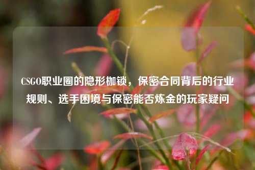 CSGO职业圈的隐形枷锁,保密合同背后的行业规则、选手困境与保密能否炼金的玩家疑问