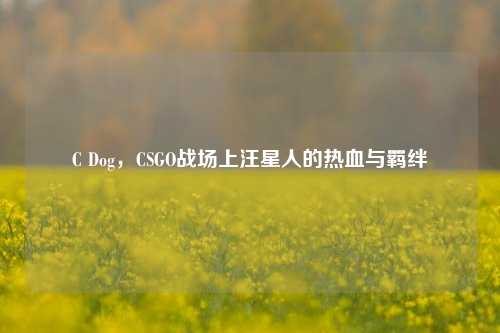 C Dog,CSGO战场上汪星人的热血与羁绊