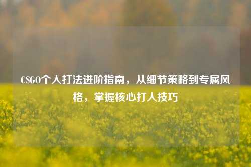 CSGO个人打法进阶指南,从细节策略到专属风格,掌握核心打人技巧