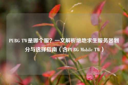 PUBG TW是哪个服?一文解析绝地求生服务器划分与选择指南(含PUBG Mobile TW)