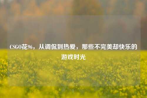 CSGO花96,从调侃到热爱,那些不完美却快乐的游戏时光