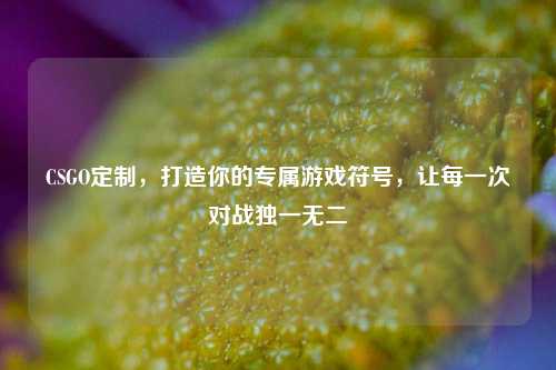 CSGO定制,打造你的专属游戏符号,让每一次对战独一无二