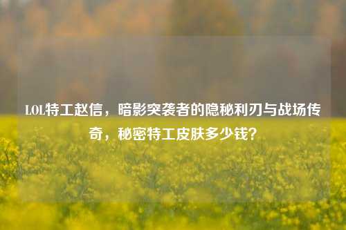 LOL特工赵信,暗影突袭者的隐秘利刃与战场传奇,秘密特工皮肤多少钱?