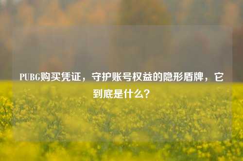 PUBG购买凭证,守护账号权益的隐形盾牌,它到底是什么?
