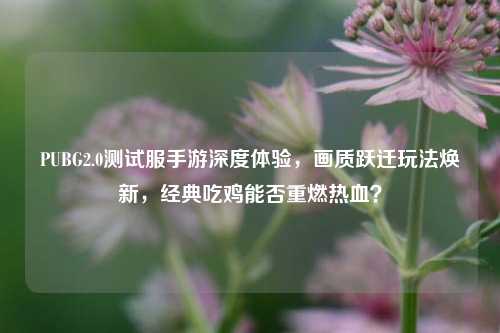 PUBG2.0测试服手游深度体验,画质跃迁玩法焕新,经典吃鸡能否重燃热血?