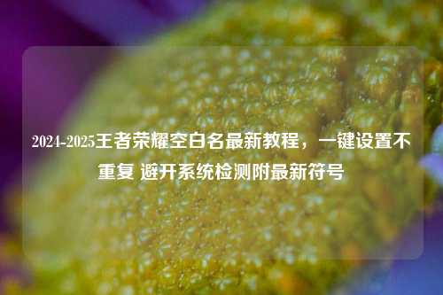2024-2025王者荣耀空白名最新教程,一键设置不重复 避开系统检测附最新符号