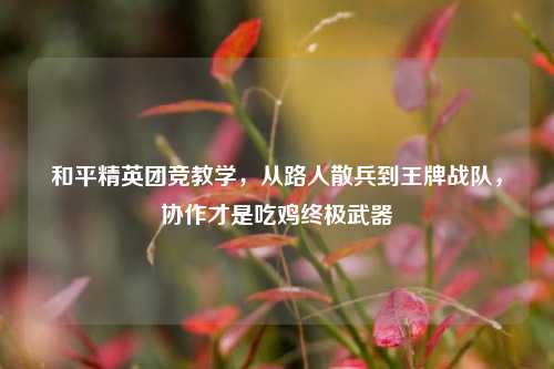 和平精英团竞教学,从路人散兵到王牌战队,协作才是吃鸡终极武器