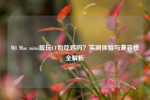 M1 Mac mini能玩CF和吃鸡吗?实测体验与兼容性全解析