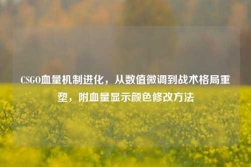 CSGO血量机制进化,从数值微调到战术格局重塑,附血量显示颜色修改 ***