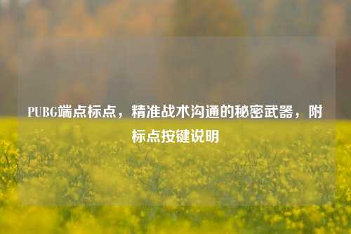 PUBG端点标点,精准战术沟通的秘密武器,附标点按键说明