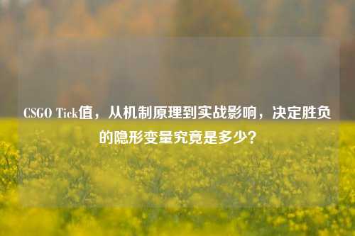 CSGO Tick值,从机制原理到实战影响,决定胜负的隐形变量究竟是多少?