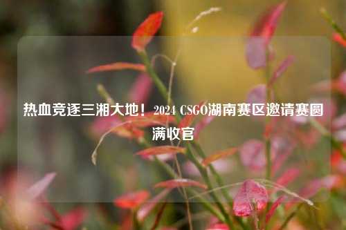 热血竞逐三湘大地!2024 CSGO湖南赛区邀请赛圆满收官