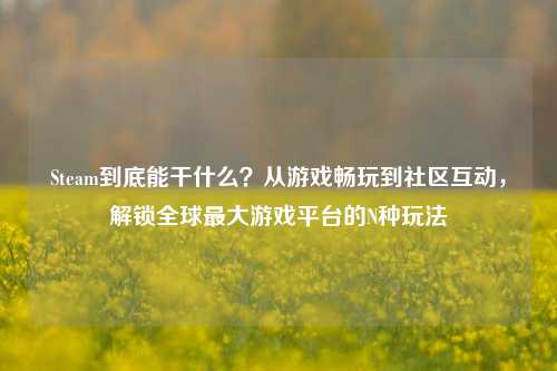 Steam到底能干什么？从游戏畅玩到社区互动，解锁全球更大游戏平台的N种玩法
