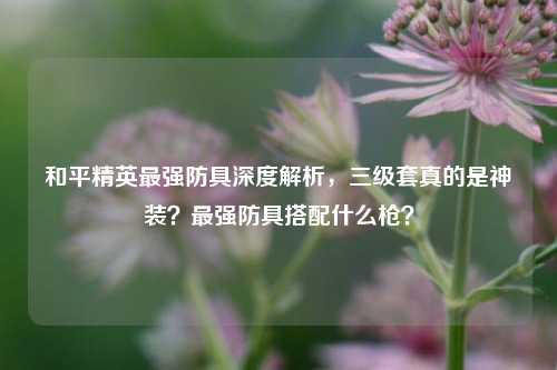 和平精英最强防具深度解析,三级套真的是神装?最强防具搭配什么枪?