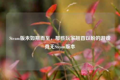 Steam版未如期而至,那些玩家翘首以盼的游戏竟无Steam版本