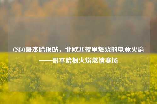 CSGO哥本哈根站,北欧寒夜里燃烧的电竞火焰——哥本哈根火焰燃情赛场
