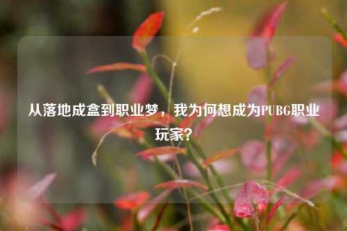 从落地成盒到职业梦,我为何想成为PUBG职业玩家?