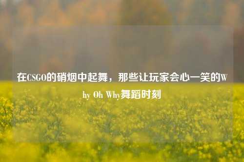 在CSGO的硝烟中起舞,那些让玩家会心一笑的Why Oh Why舞蹈时刻