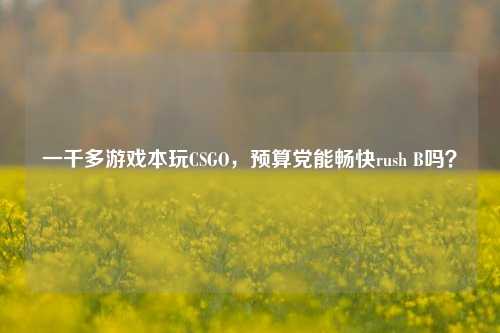 一千多游戏本玩CSGO,预算党能畅快rush B吗?