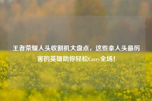 王者荣耀人头收割机大盘点,这些拿人头最厉害的英雄助你轻松Carry全场!