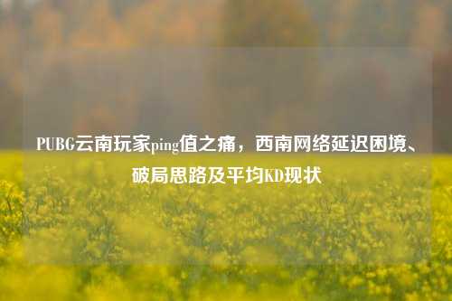 PUBG云南玩家ping值之痛，西南 *** 延迟困境、破局思路及平均KD现状