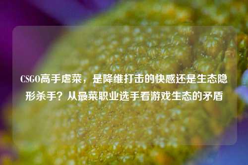 CSGO高手虐菜,是降维打击的 *** 还是生态隐形杀手?从最菜职业选手看游戏生态的矛盾