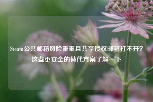 Steam公共邮箱风险重重且共享授权邮箱打不开？这些更安全的替代方案了解一下
