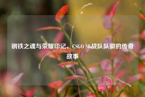 钢铁之魂与荣耀印记,CSGO SK战队队徽的传奇故事