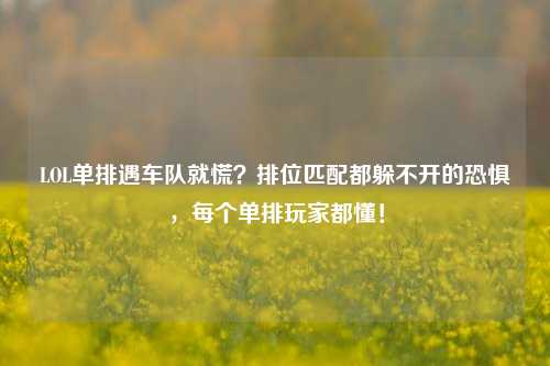 LOL单排遇车队就慌?排位匹配都躲不开的恐惧,每个单排玩家都懂!
