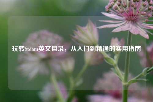 玩转Steam英文目录,从入门到精通的实用指南