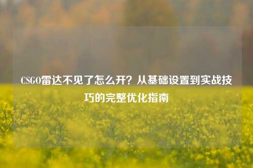 CSGO雷达不见了怎么开?从基础设置到实战技巧的完整优化指南