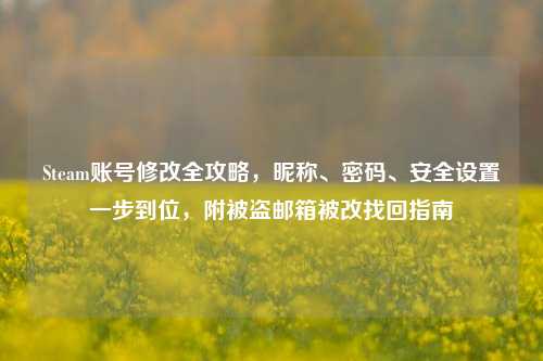 Steam账号修改全攻略,昵称、密码、安全设置一步到位,附被盗邮箱被改找回指南