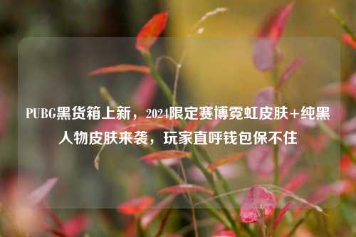 PUBG黑货箱上新,2024限定赛博霓虹皮肤+纯黑人物皮肤来袭,玩家直呼钱包保不住