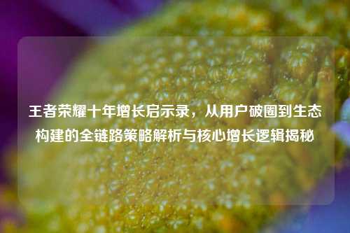 王者荣耀十年增长启示录,从用户破圈到生态构建的全链路策略解析与核心增长逻辑揭秘